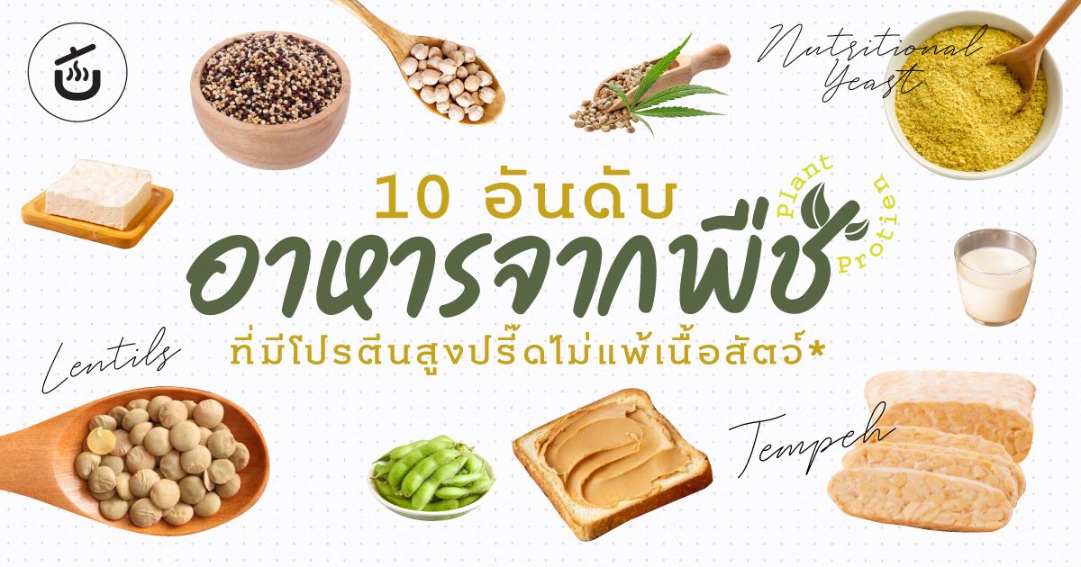 10 อันดับอาหารจากพืชที่มีโปรตีนสูงปรี๊ดไม่แพ้เนื้อสัตว์ By Krua.Co