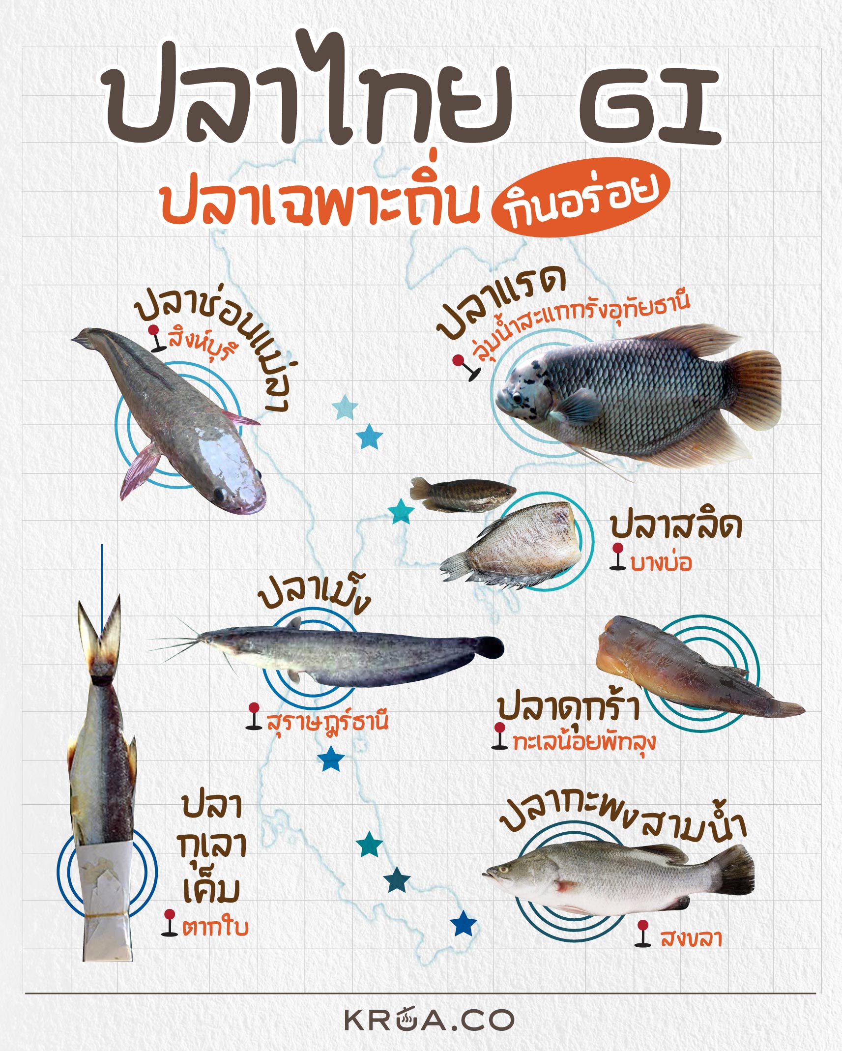 GI, GI ไทย, สินค้า GI, ปลาที่ได้ GI, ปลาไทย, ปลาเม็ง สุราษฎร์ธานี, ปลาสลิดบางบ่อ, ปลากุเลาเค็ม ตากใบ, ปลาแรด ลุ่มน้ำสะแกกรัง อุทัยธานี, ปลากะพงสามน้ำ สงขลา 