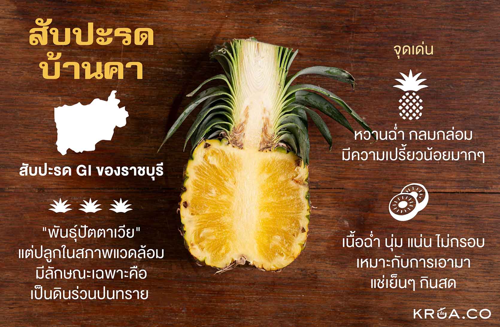สับปะรดบ้านคา,ของดีราชบุรี,ของฝากราชบุรี,พายสับปะรด,ทาร์ตสับปะรด,ขนมจากสัยปะรด 