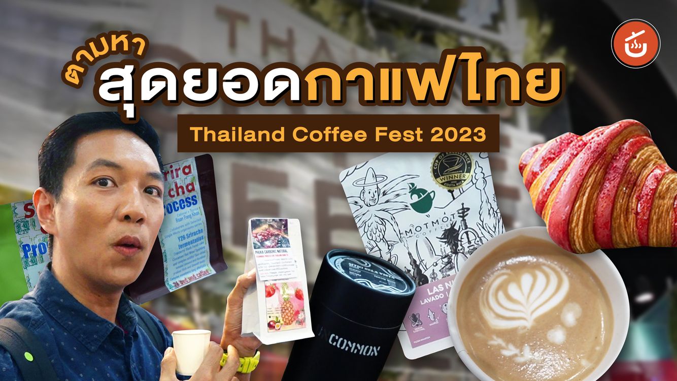 สุดยอด Specialty Coffee กาแฟไทย แก้วละ 500 บาท!! Thailand Coffee Fest