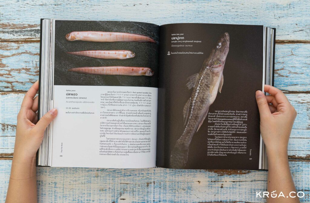 Thai Fish Book